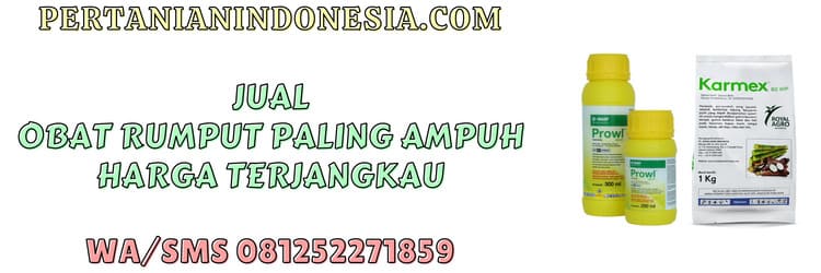 jual,jual obat rumput,jual obat rumput paling ampuh,murah,pertanian indonesia
